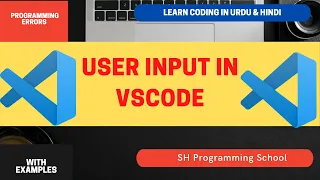 User input in vscode with code runner