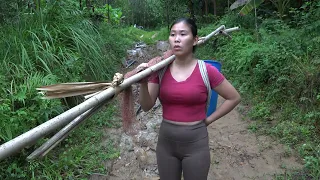 Fishing Techniques, Traditional Fishing With Bamboo and Fishing Net, Catch a Lot of Fish