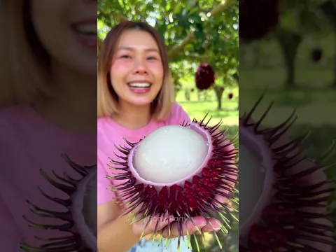 เงาะลูกใหญ่มาเป็นพวงเลย สุดยอด  #viral #funny #fruit #pony #amazing #satisfying