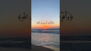 القارئ مشاري العفاسي فستذكرون ما أقول لكم وأفوض أمري إلى الله سورة غافر 