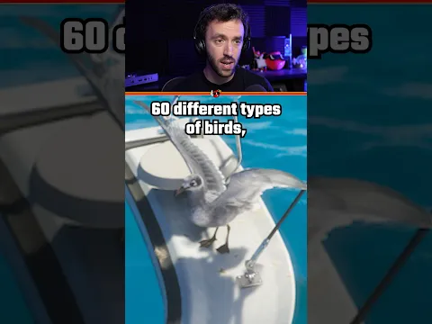 GTA 6 Wildlife is OVERWHELMING