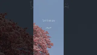 إ ن م ا ال م ؤ م ن ون ال ذ ين آم ن وا ب الل ه و ر س ول ه ث م ل م ي ر ت اب وا أحمد طالب 