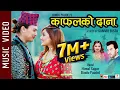 Download Lagu Kafalko Dana - New Nepali Song 2019 || Himal Sagar, Bindu Paudel Ft. Paul Shah, Aanchal Sharma