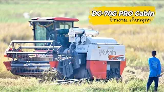 เกี่ยวจุกๆ! DC-70G PRO ข้าวงามๆ แป๊บเดียวเต็ม!