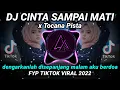 DJ CINTA SAMPAI MATI x TOCANA PISTA (dengarkanlah disepanjang malam aku berdoa) DJ VIRAL TIKTOK 2022