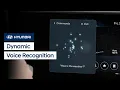 Dynamic Voice Recognition Bluelink Hyundai