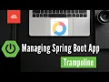 Microservice Managing Spring Boot application locally with Trampoline JavaTechie