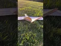 How your V-Tail should work not full tutorial