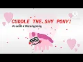 Lagu The Shy Pony...