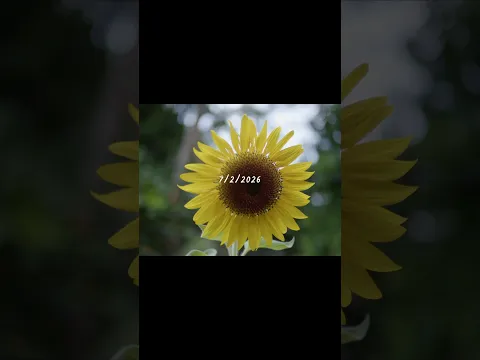 The Archive v1🚶🏽‍♂️|#shorts #short #videography #vlog