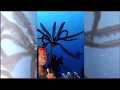 Meet the Feather Star not as bad as you think