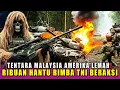 Download Lagu TAK DISANGKA‼️TENTARA MALAYSIA AMERIKA LEMAH‼️RIBUAN HANTU RIMBA TNI BERAKSI