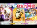 Download Lagu 🍒 💝「巨蟹新月」正在發生的好運 福運 奇蹟 幸福 轉變♥️ 有字幕 🟣無時間限制占卜 🟡  #塔羅 #占卜#tarotReading #oracle #PickaCard #婚姻 #愛 #事業