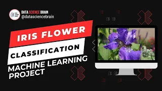 Machine Learning Project - Iris Flower Classification dsbrain