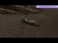 Skyrim Elder Scrolls V Reluctant Stewart Bug Fix
