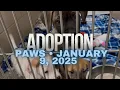 First Visit to PAWS for 2025