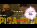 DJ VIRAL NONA PUNG GOYANG PICA PICA by KUIN LISA