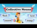 What Are Collective Nouns Definition and Examples Collective Nouns for Animals