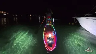 2026-09-13 - Ray and Jumping Mullet landing at my feet - Paddleboarding by Night in Mauritius