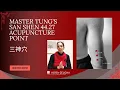 Download Lagu Master Tung's San Shen 【三神穴】Acupuncture Point 44.27