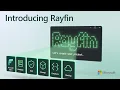 Rayfin Go from prompt to production backend