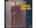 Download Lagu David Wilcox - Riverboat Fantasy (Lyrics on screen)