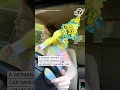 Woman Crashes Car While Singing Hit Me Baby One More Time