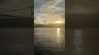 تمنيت القلب شفاف 