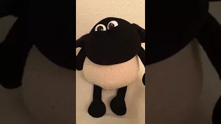 Timmy Time