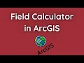Field Calculator in ArcGIS