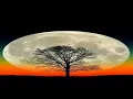Download Lagu Damian Yoko \u0026 Sadhu Sensi - Cosmic Moon