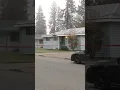 Woman 2 children and several pets found dead in potential murder-suicide in North Spokane