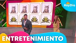 Un divertido juego pone a prueba la coordinación y rapidez de todos | Hoy Día | Telemundo
