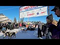 Jessie Holmes leads as Iditarod field narrows dog dies