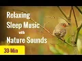 Download Lagu Beautiful 30 minute relaxing sleep music with birds and water sound