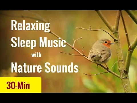 Download MP3 Beautiful 30 minute relaxing sleep music with birds and water sound