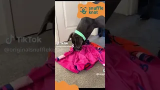 Great Dane Snuffle Knot