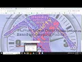 Human Stress Detection Based on Sleeping Habits Using Machine Learning Algorithms Python Project