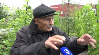 Омский садовод разбил на своем садовом участке виноградную плантацию
