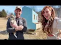 Week 1 of our Homesteading Journey Chicken Coop Build Spring Cleaning the Farmhouse Vlog