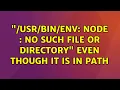 Ubuntu env node No such file or directory even though it is in PATH