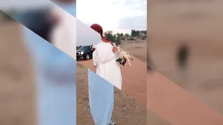 يامبرقع الطير خلي الطير واعيونه دندنها