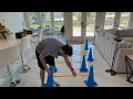 My Dog Training Set Review Unboxing - 4K