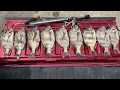 Super Easy Way to Quickly Clean Sheepshead