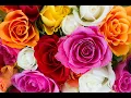 Karen Maurer Funeral