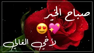 صباح الخير لأخي الغالي  حالات واتس أب صباحية   ستوريات صباحية لأخي دندنها