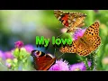 Simply Red - You Make Me Feel Brand New (w/ lyrics)