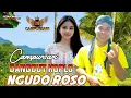 Download Lagu NGUDOROSO ~ CAMPURSARI DANGDUT KOPLO || AUDIO JERNIH BASS GLERR