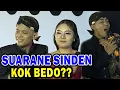 Download Lagu Cak Percil Cs !! Gak Kuat Nyanyi Sampek Kaku Awak e