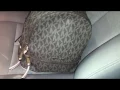 Michael Kors Backpack Purse SALE Macy s 200 OFF March 2017
